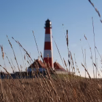 Navigating the Procurement Landscape: Why Your Business Needs B2B Software Solutions
