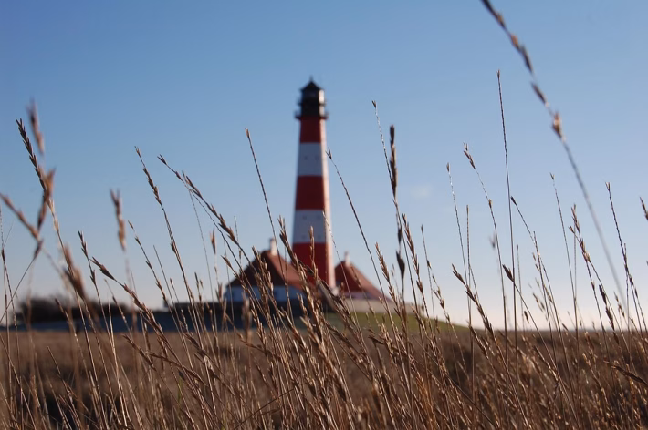 Navigating the Procurement Landscape: Why Your Business Needs B2B Software Solutions