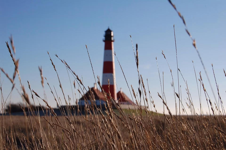 Navigating the Procurement Landscape: Why Your Business Needs B2B Software Solutions Navigating the Procurement Landscape: Why Your Business Needs B2B Software Solutions