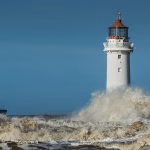 Navigating the SaaS Landscape: Essential Trends for Small Business Success in 2023