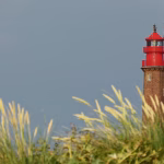Navigating the Cyber Threat Landscape: Why Your CRM Needs a Security Upgrade
