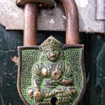 Secure Your Operations: Why Investing in Security-Integrated Business Software is Non-Negotiable
