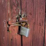 Unlocking Potential: Innovative Methods for Measuring Employee Performance