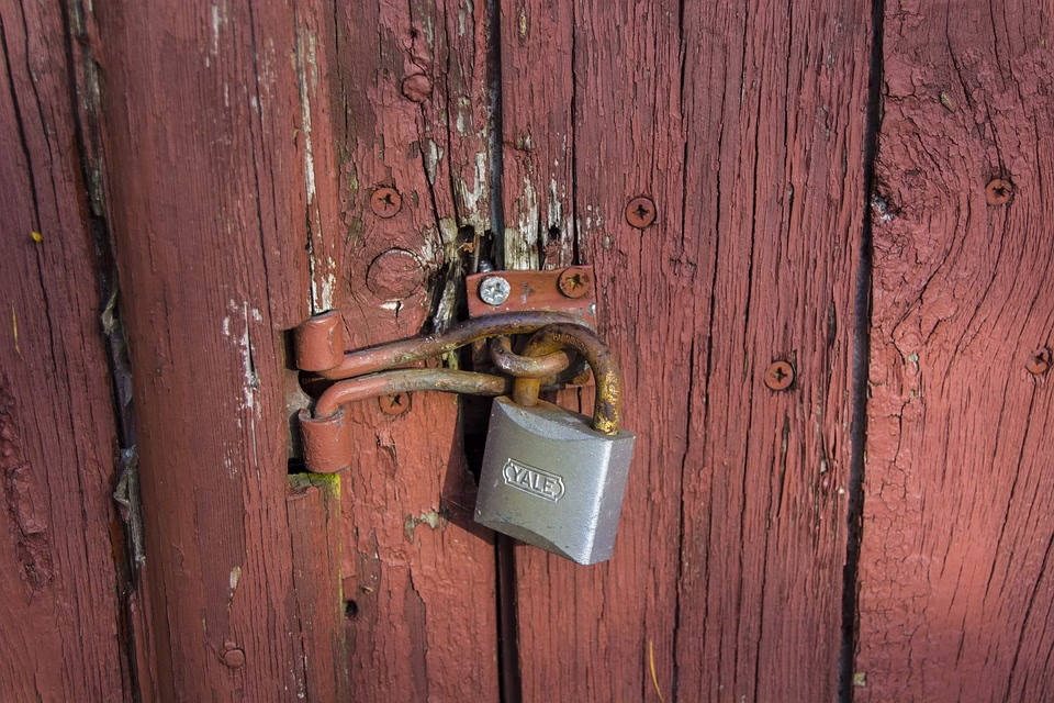 Unlocking Potential: Innovative Methods for Measuring Employee Performance