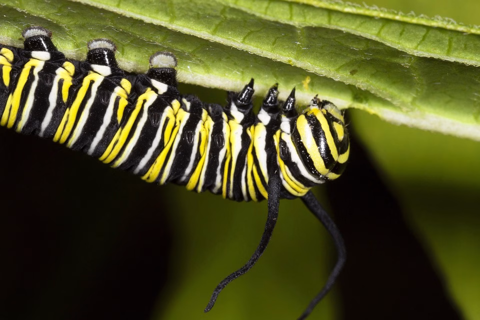 Transform Your Social Engagement: The Power of a Smart Link-in-Bio CRM Module