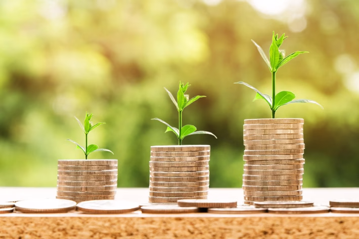 Building Wealth: A Step-by-Step Guide to Effective Financial Planning