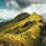 Elevate Your Professional Presence: Simple Tips to Enhance Your vCard Profile