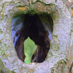 Unlocking Insights: The Power of Invoice Reporting and Archiving for Small Businesses