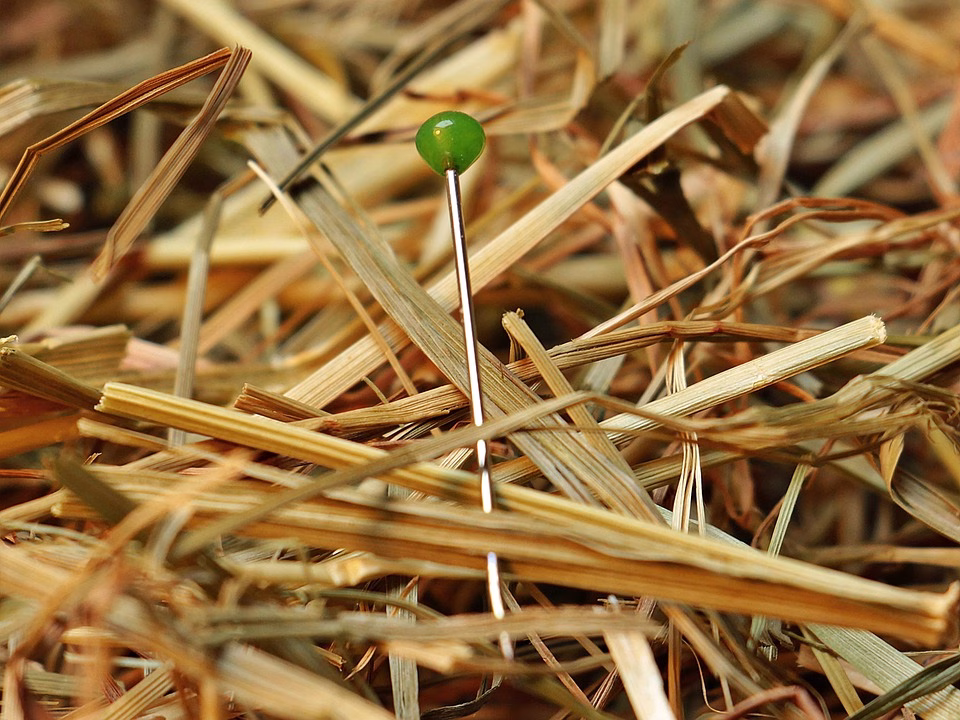 Find out how subdomain support can streamline your client management processes.