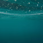 A Deep Dive into the vCard SaaS Model: What You Need to Know