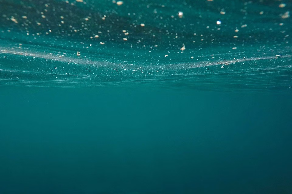 A Deep Dive into the vCard SaaS Model: What You Need to Know A Deep Dive into the vCard SaaS Model: What You Need to Know