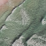 Going Green: The Environmental Benefits of Digital Cards in Service Industries