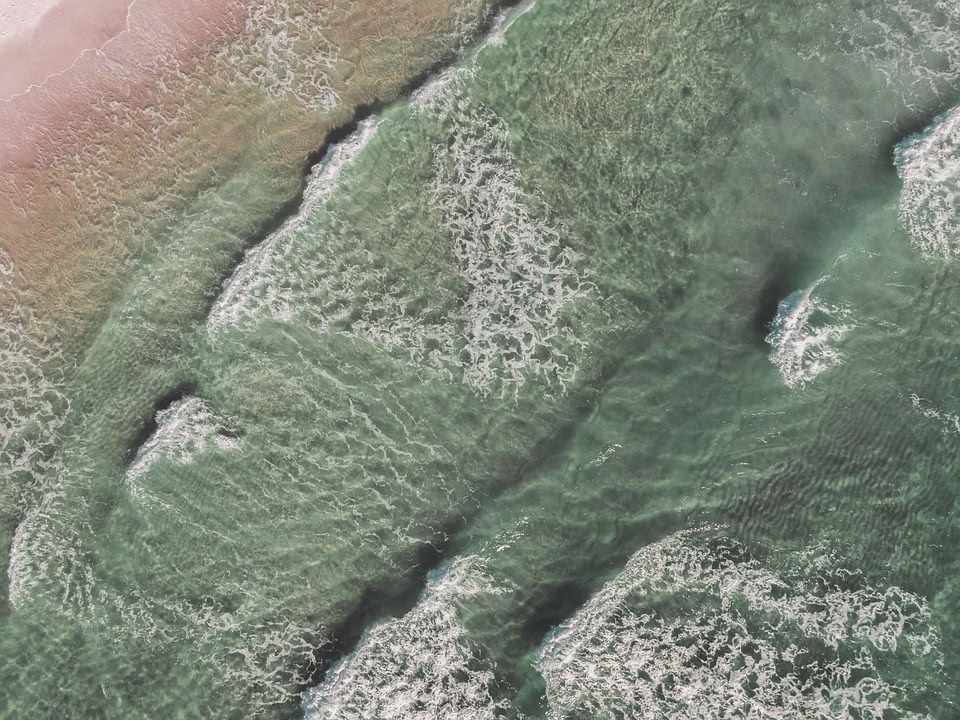 Going Green: The Environmental Benefits of Digital Cards in Service Industries