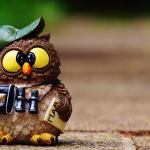 Face-to-Face in a Digital World: The Importance of Video Calls in CRM Systems