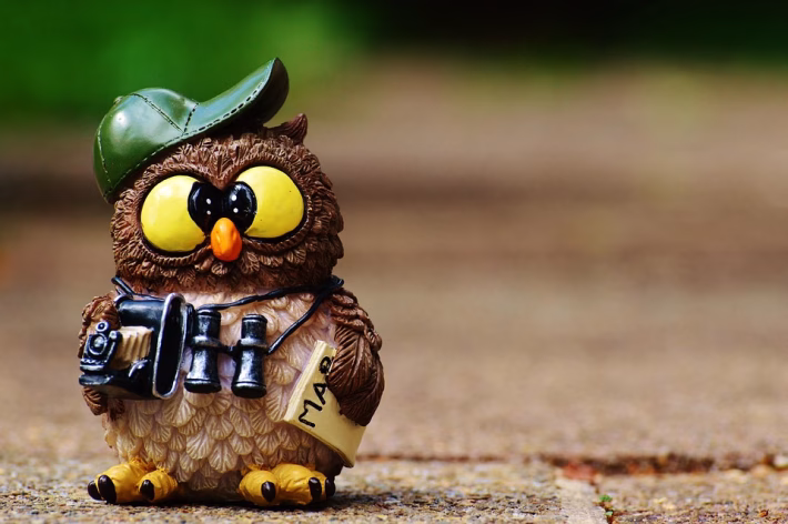 Face-to-Face in a Digital World: The Importance of Video Calls in CRM Systems