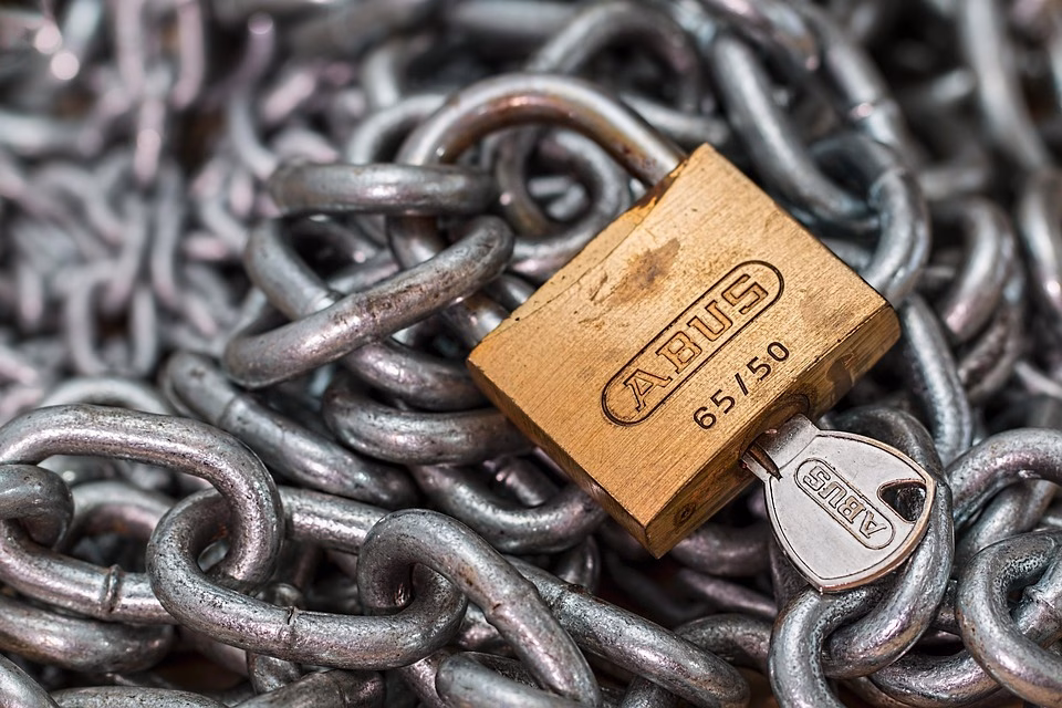 Unlocking Security: Essential Digital Tools Every Business Needs