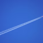Navigating the SaaS Landscape: Key Developments Companies Need to Know