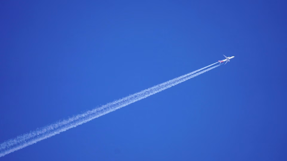 Navigating the SaaS Landscape: Key Developments Companies Need to Know
