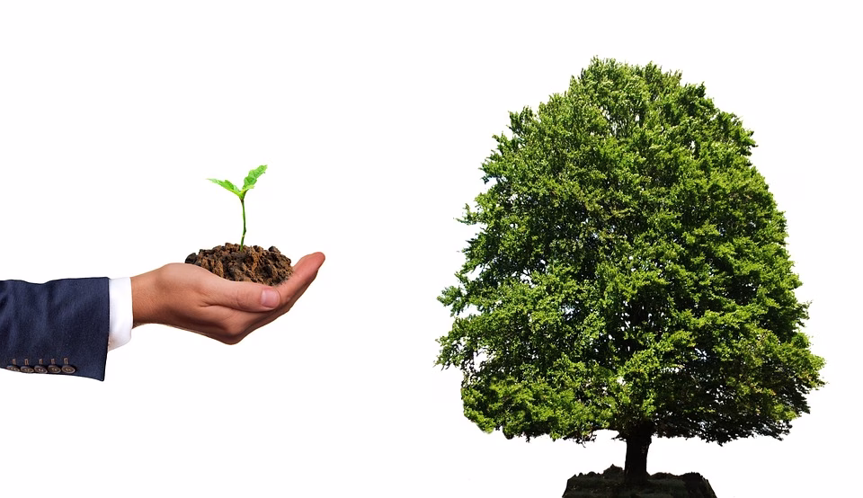Unlocking Potential: How B2B Affiliate Marketing Tools Can Transform Your Revenue Strategy