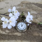 Time is Money: Automate Your Way to Increased Profitability