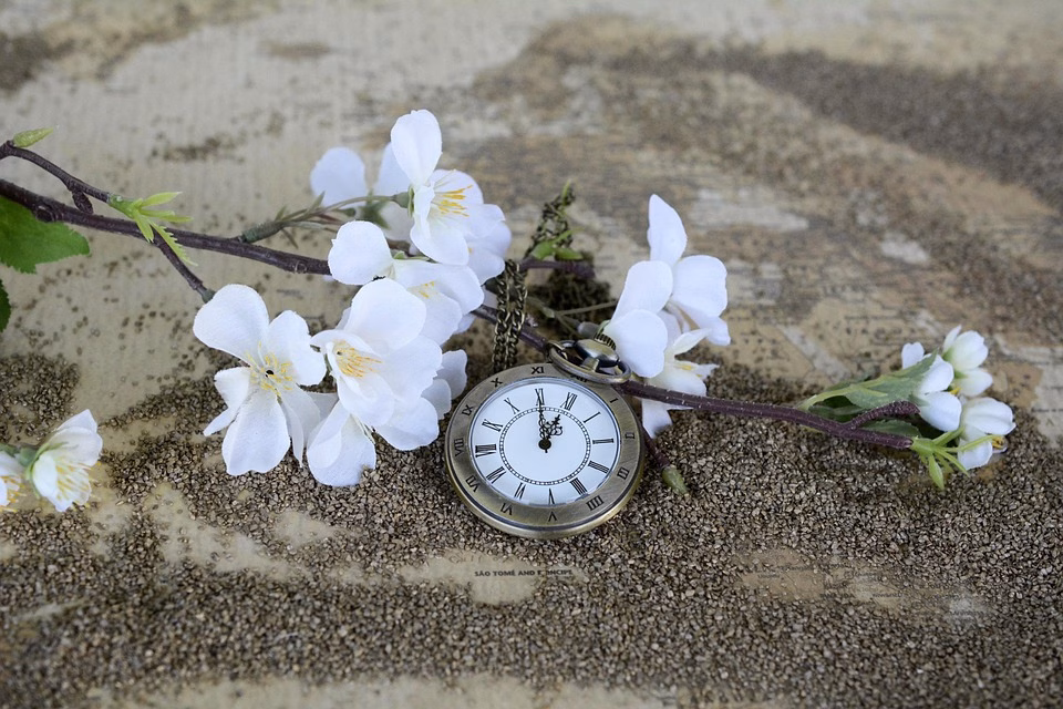 Time is Money: Automate Your Way to Increased Profitability