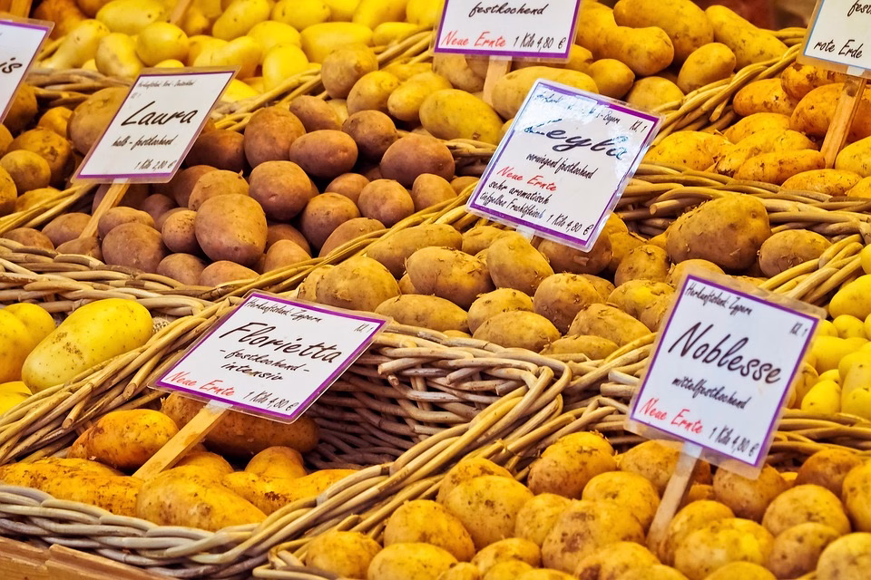 Boost Your Sales: Why Every Retail Shop Should Consider Using WhatsApp Stores Boost Your Sales: Why Every Retail Shop Should Consider Using WhatsApp Stores
