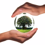 Simplifying Global Outreach: Implementing a Language Selector in Your CRM