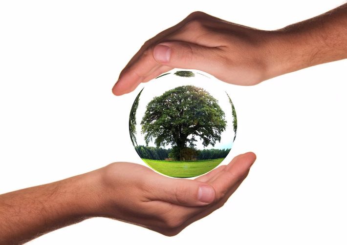 Simplifying Global Outreach: Implementing a Language Selector in Your CRM