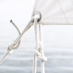 Navigating the Risks: How Secure CRM Software Protects Your Business