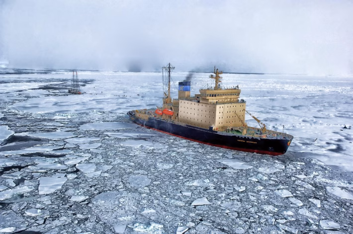 Navigating Compliance: How Asset Inventory Systems Keep You in Check
