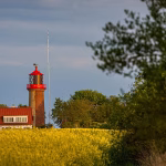 Navigating the SaaS Landscape: Turning Challenges into Profit