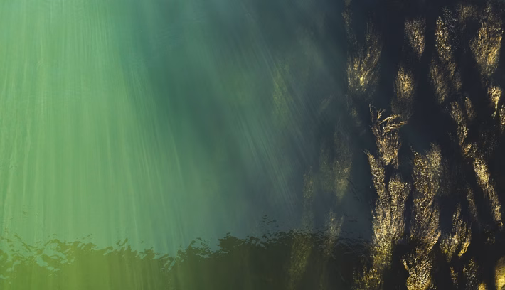 Top 5 Enterprise Solutions Every Business Needs for Growth