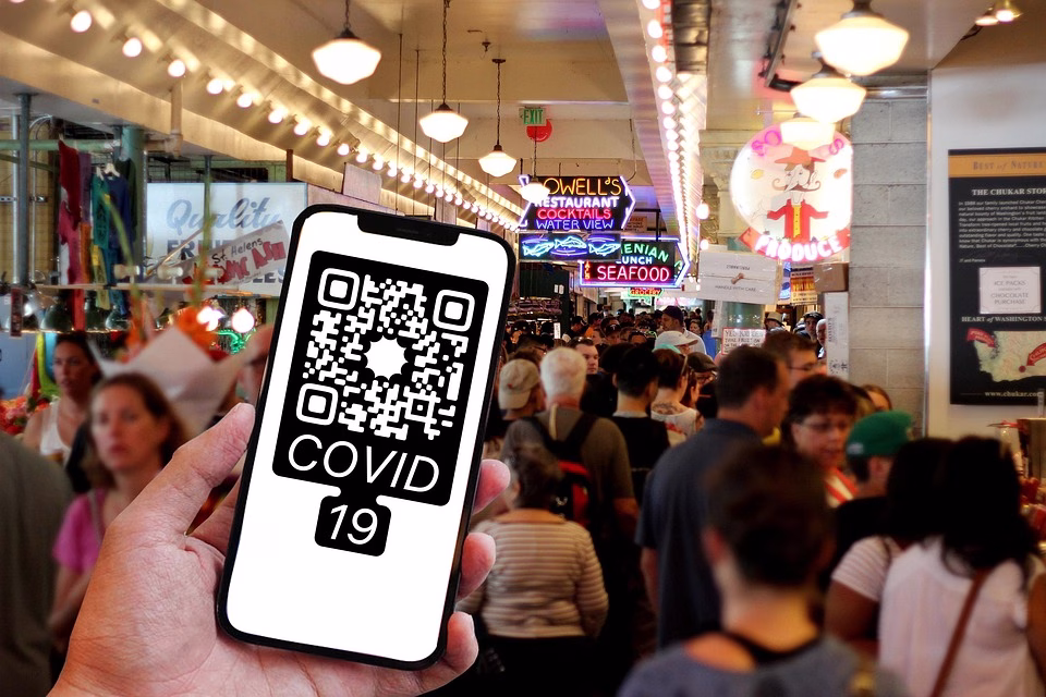 QR Codes Explained: Bridging the Gap Between Physical and Digital QR Codes Explained: Bridging the Gap Between Physical and Digital