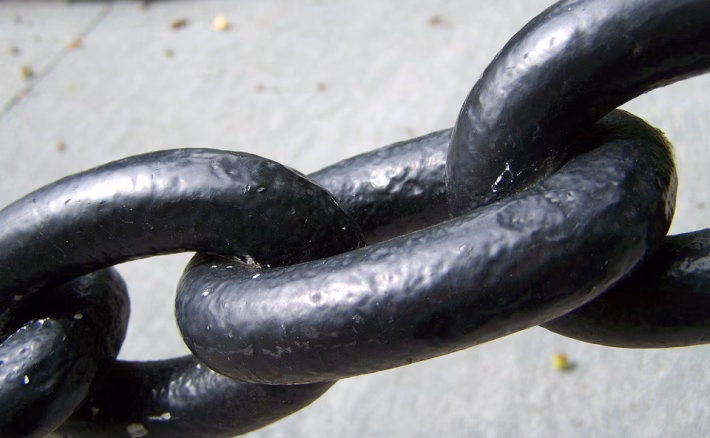 Link Up: How a Bio Link Can Supercharge Your Social Media Presence