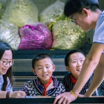 Revolutionizing Tutoring: How Digital Cards Enhance Learning Experiences