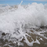 From Chaos to Clarity: Automating Payroll Management with CRM Technology