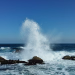 Breaking Barriers: Empowering Businesses Through RTL Language Support in CRM Solutions