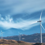 Sustainable Choices: Are Digital Cards the Green Alternative to Paper?