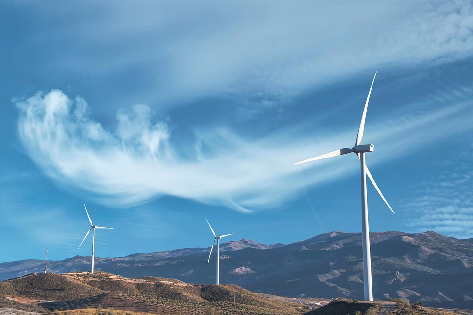 Sustainable Choices: Are Digital Cards the Green Alternative to Paper? Sustainable Choices: Are Digital Cards the Green Alternative to Paper?