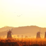 The Future of Client Engagement: Why Every Consultant Needs a Digital Card