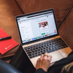 Navigating the Influencer Jungle: How to Choose the Right Partner for Your Brand