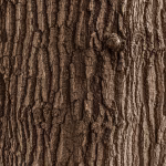 How Asset History Log Software Enhances Asset Management Efficiency