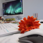 CRM Automation Demystified: A Guide for Small Businesses