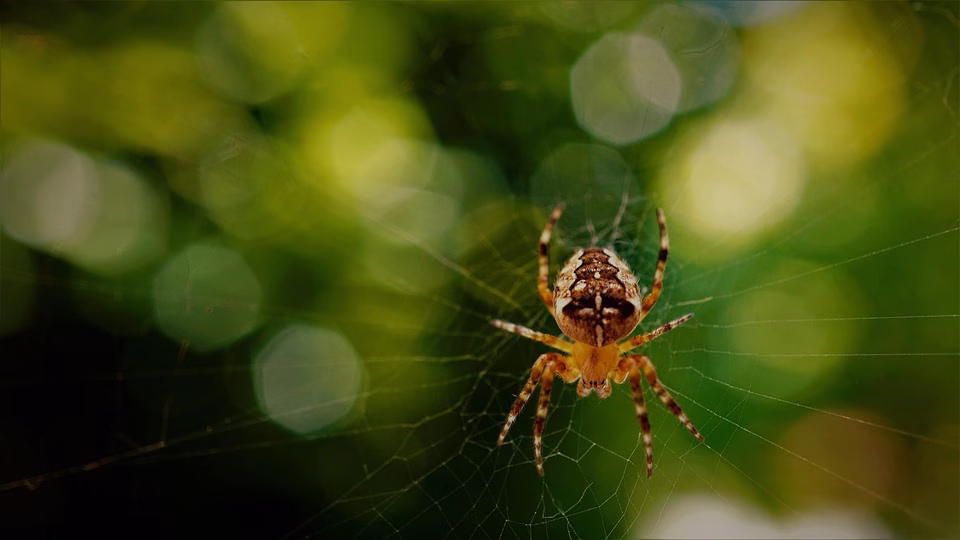 From Chaos to Clarity: How AI Workflow Automation Transforms Business Operations From Chaos to Clarity: How AI Workflow Automation Transforms Business Operations