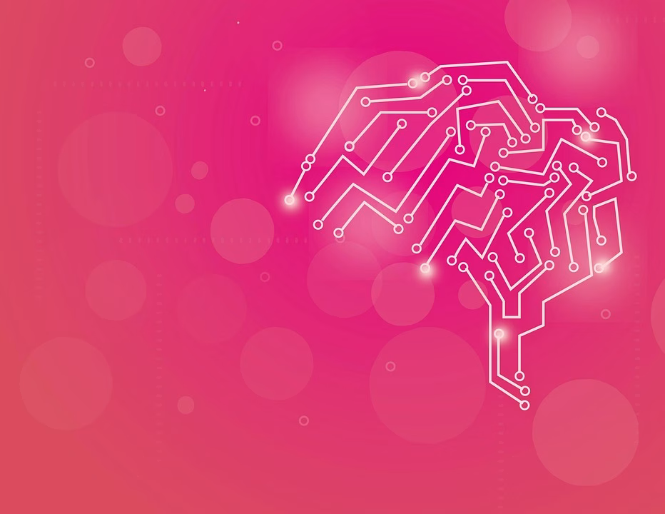 From Data to Delight: Leveraging CRM for Superior Guest Engagement