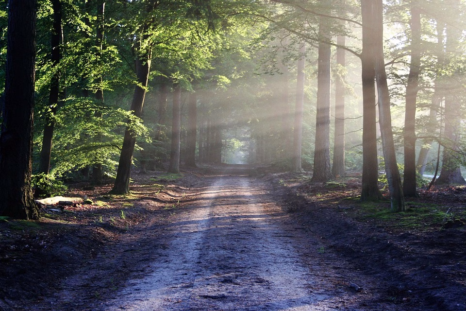 The Path to Secure CRM: Implementing Biometric Logins for Modern Business Needs The Path to Secure CRM: Implementing Biometric Logins for Modern Business Needs