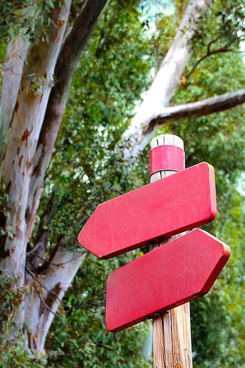 Data-Driven Decisions: The Ultimate Guide to Effective CRM Management