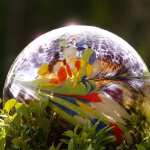 The Future of CRM: Integrating Marketing for a 360-Degree Customer View