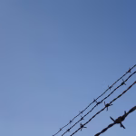 Protecting Client Data: The Essential Security Features Every CRM Must Have