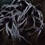 From Chaos to Clarity: The Benefits of Automating Your Content Marketing Efforts